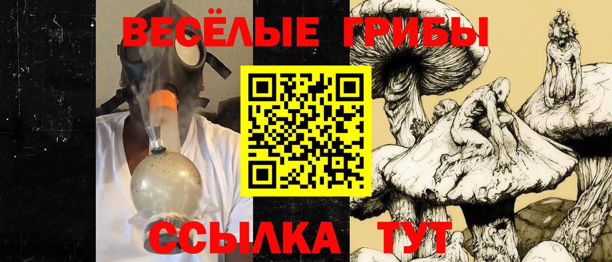 Заволжье  Галлюциногенные грибы прущие грибы  Вход с VPN 